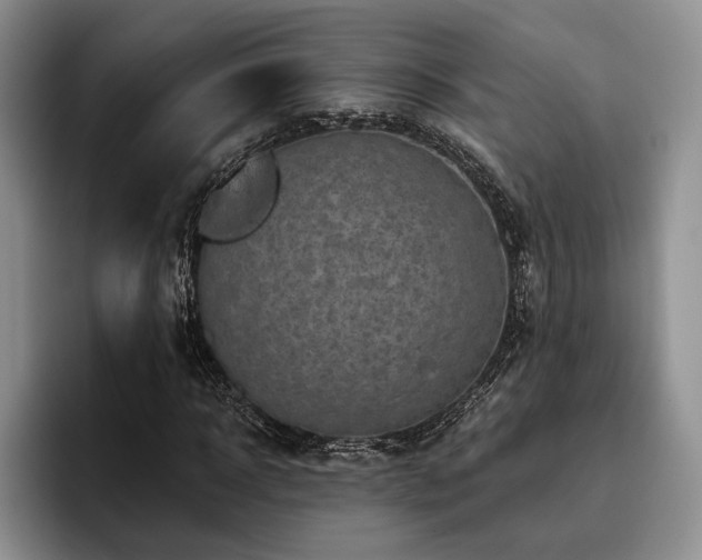 X0000096130918200801181109