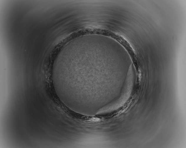 X0000096130919200801181109