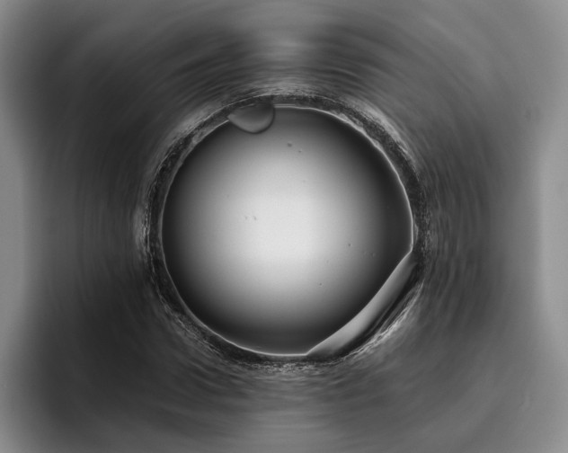 X0000096130922200801181109