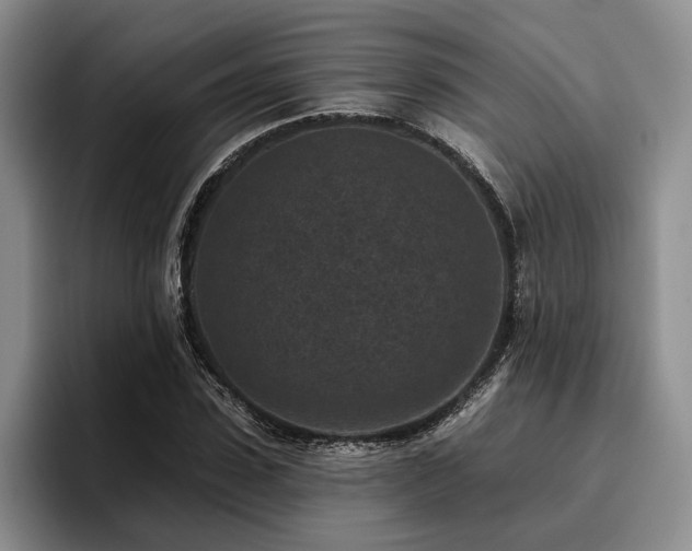 X0000096130923200801181109
