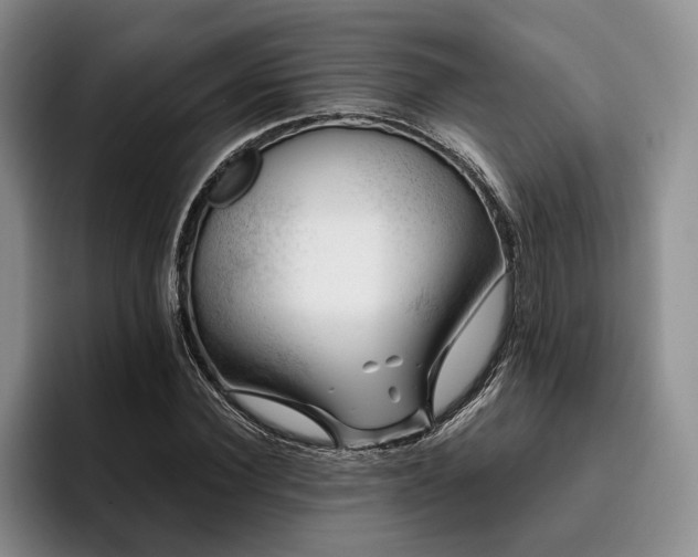 X0000096130924200801181110