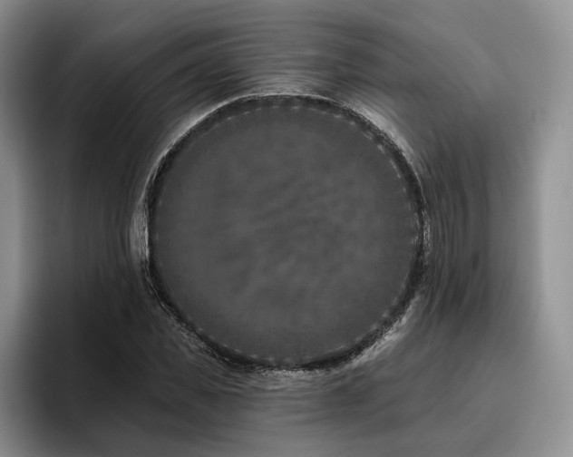 X0000096130925200801181110