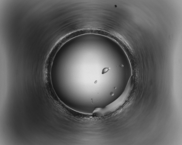 X0000096130926200801181110