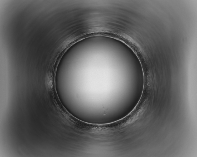 X0000096130929200801181110