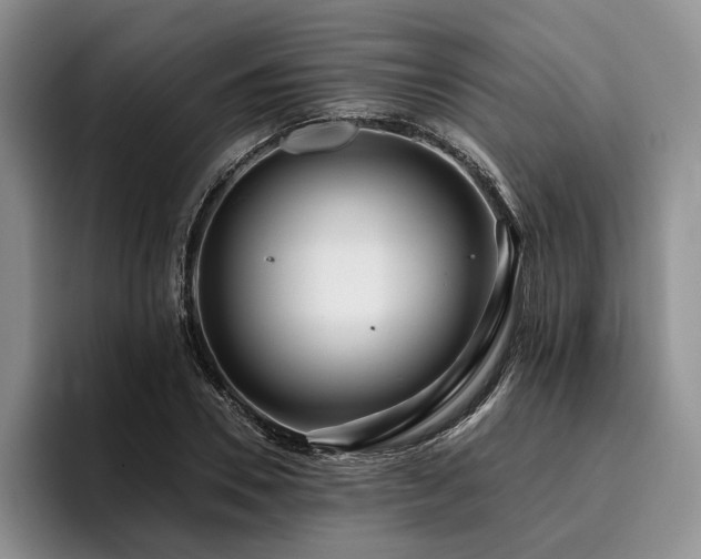 X0000096130930200801181110