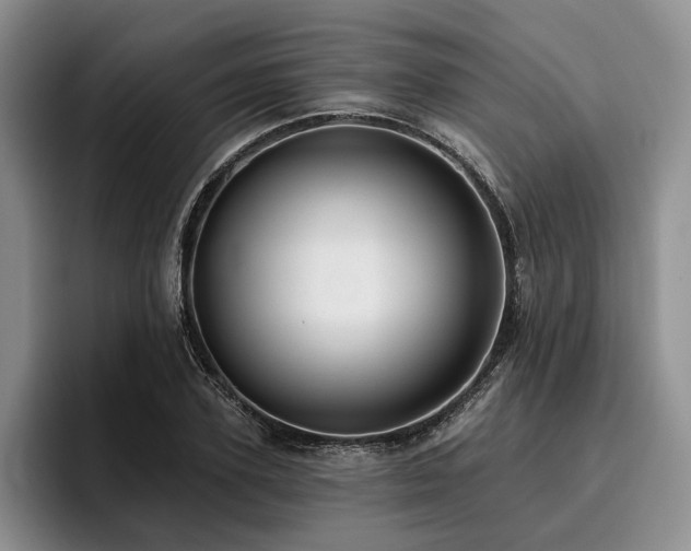 X0000096130931200801181110