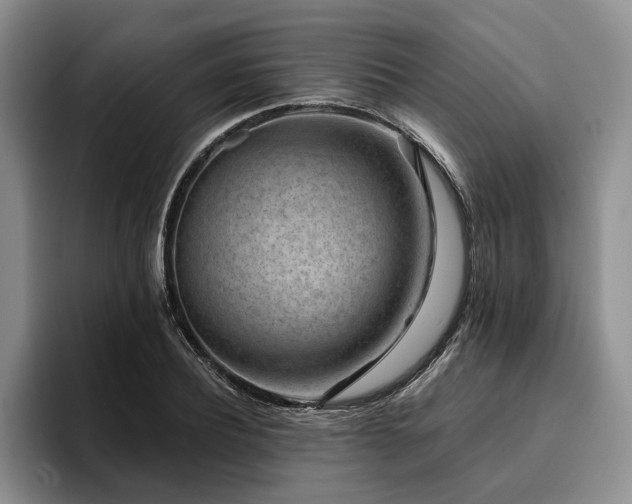 X0000096130932200801181110
