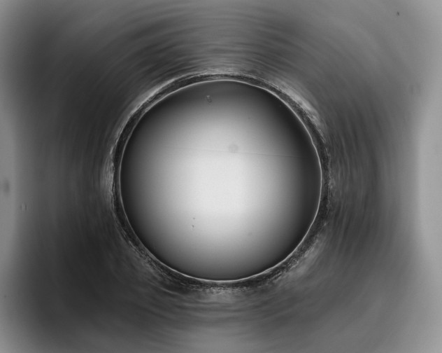 X0000096130933200801181110