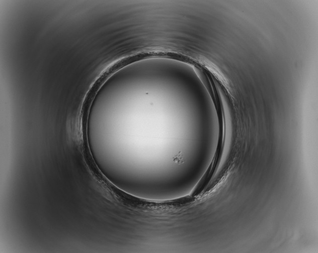 X0000096130934200801181110
