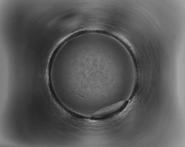 X0000096130935200801181110