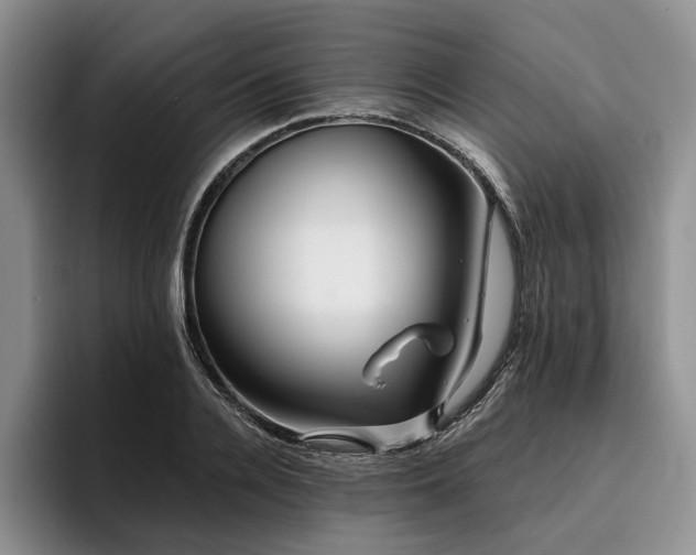 X0000096130936200801181110