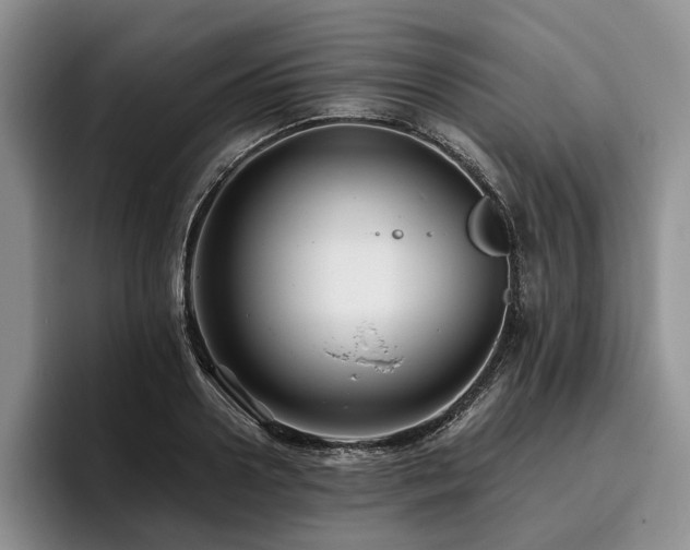 X0000096130938200801181110