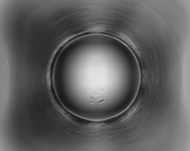 X0000096130939200801181110