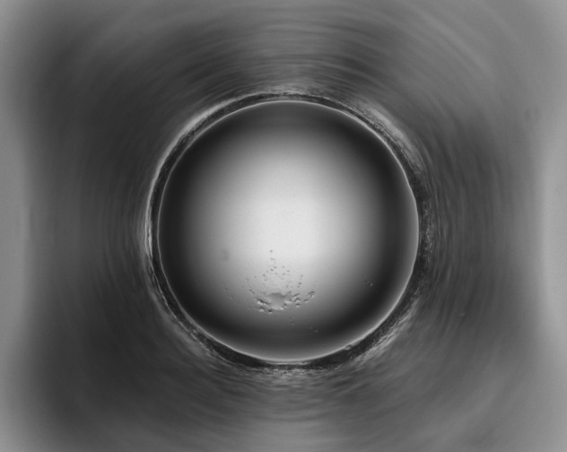 X0000096130940200801181110