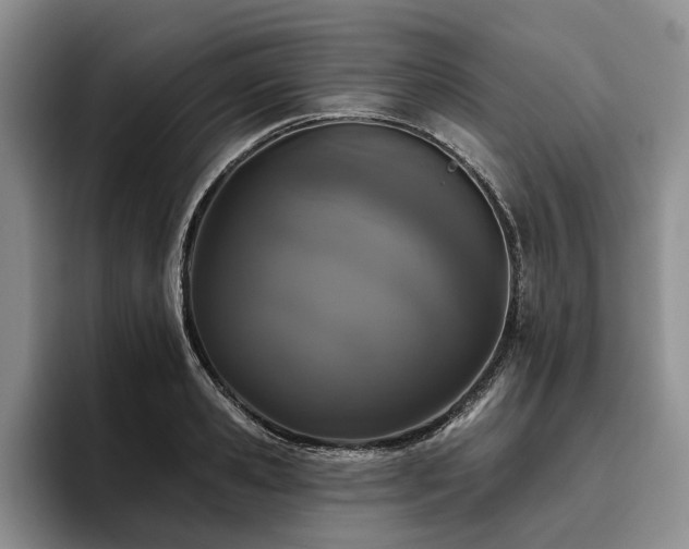 X0000096130941200801181110