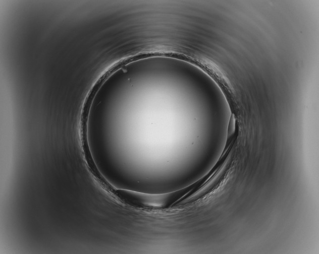 X0000096130942200801181110