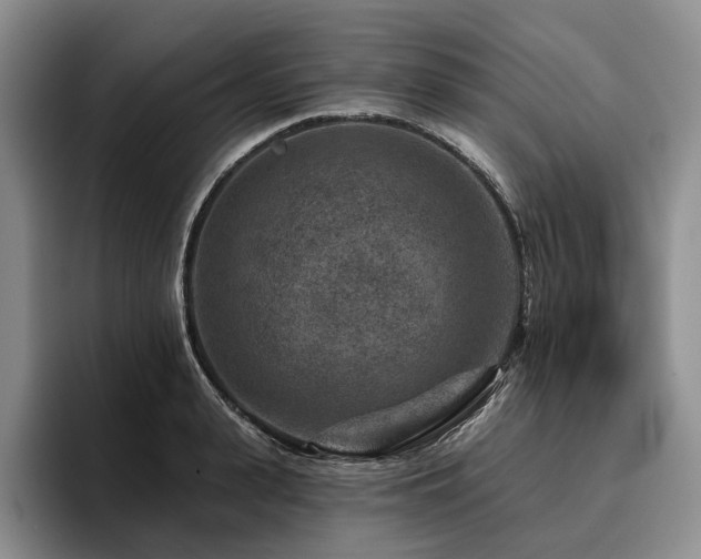 X0000096130943200801181110