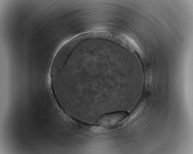 X0000096130944200801181110