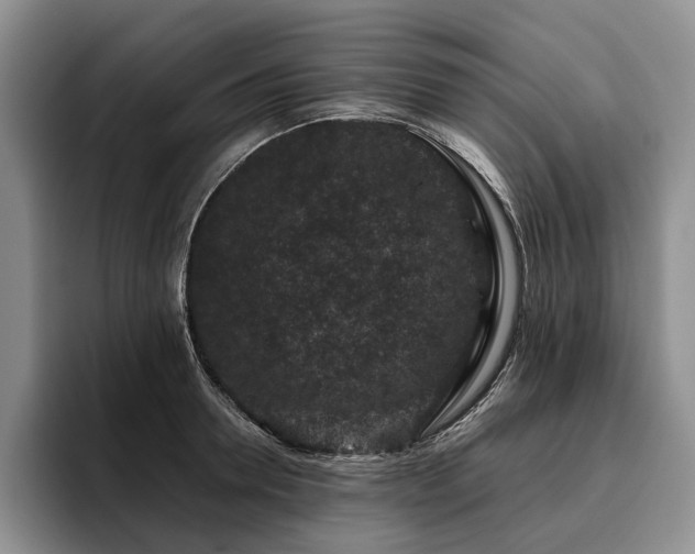 X0000096130946200801181110