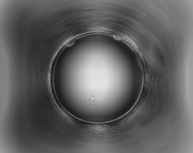 X0000096130947200801181110