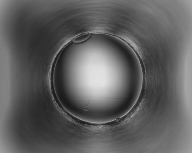 X0000096130949200801181110