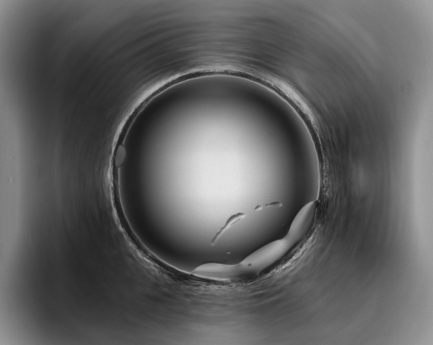 X0000096130951200801181110