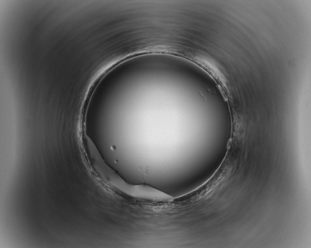 X0000096130952200801181110