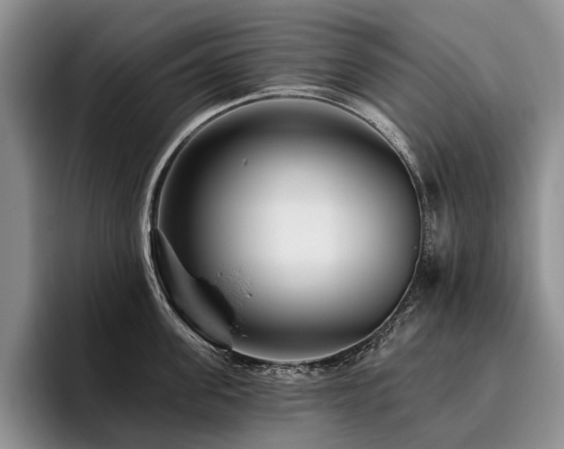 X0000096130955200801181110