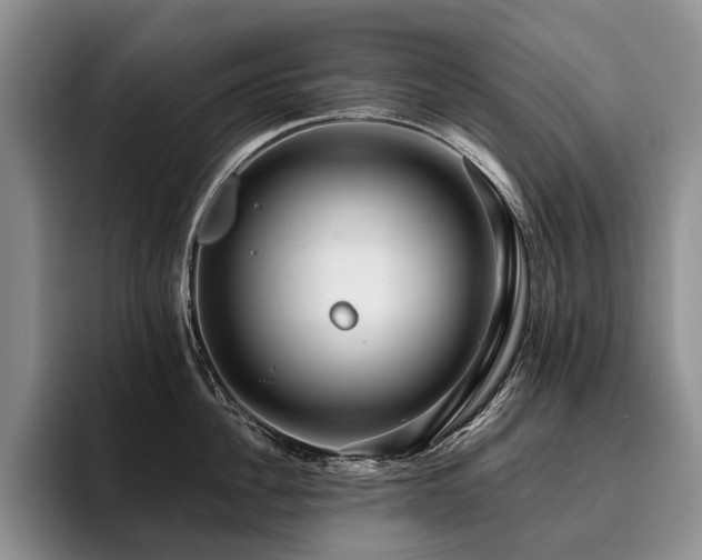X0000096130956200801181110