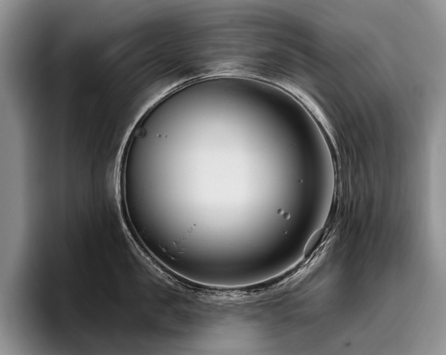 X0000096130957200801181110