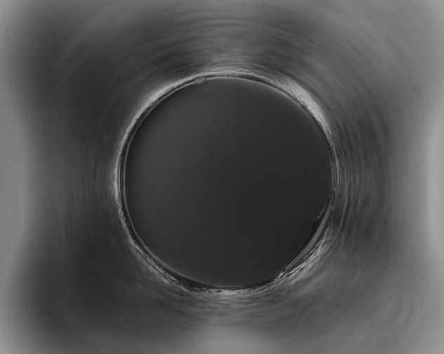X0000096130958200801181110