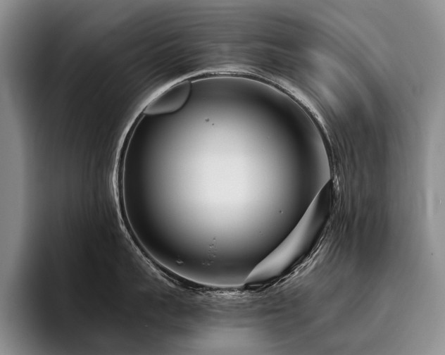 X0000096130959200801181110