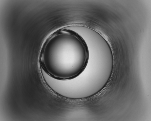 X0000096130960200801181110