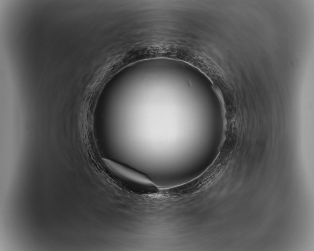 X0000096130961200801181109
