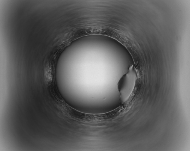 X0000096130962200801181109