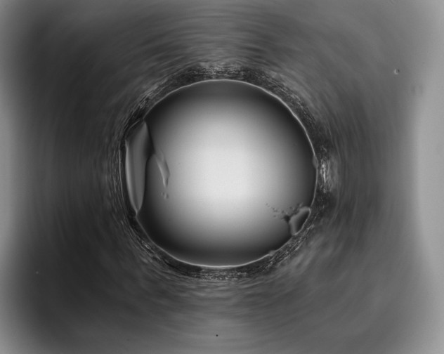 X0000096130963200801181109