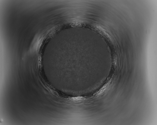 X0000096130964200801181109