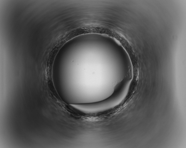 X0000096130965200801181109