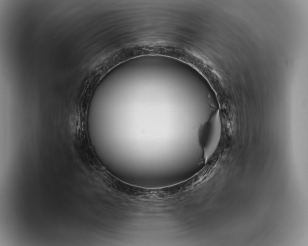 X0000096130966200801181109