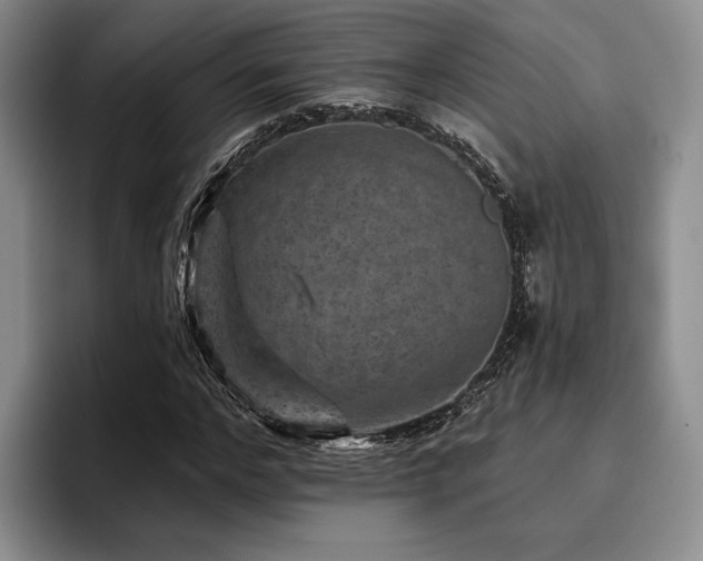 X0000096130968200801181109