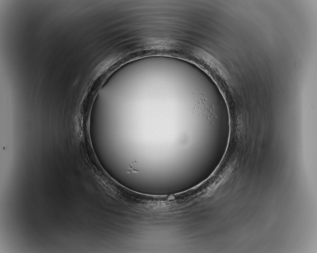 X0000096130970200801181109