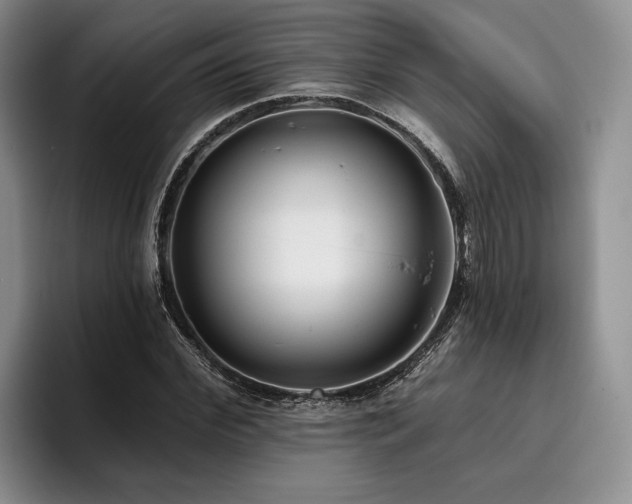 X0000096130972200801181109