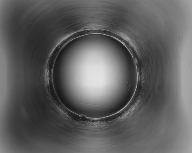 X0000096130973200801181109