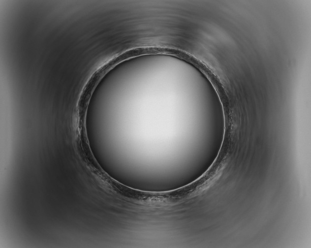 X0000096130974200801181109