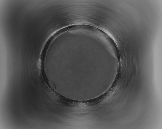 X0000096130975200801181109