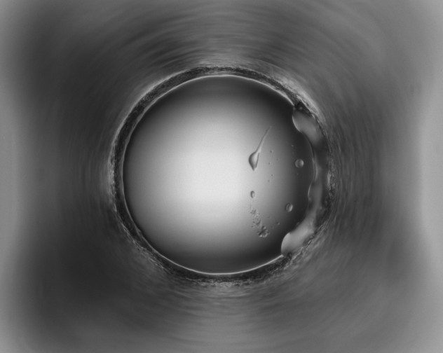 X0000096130976200801181109