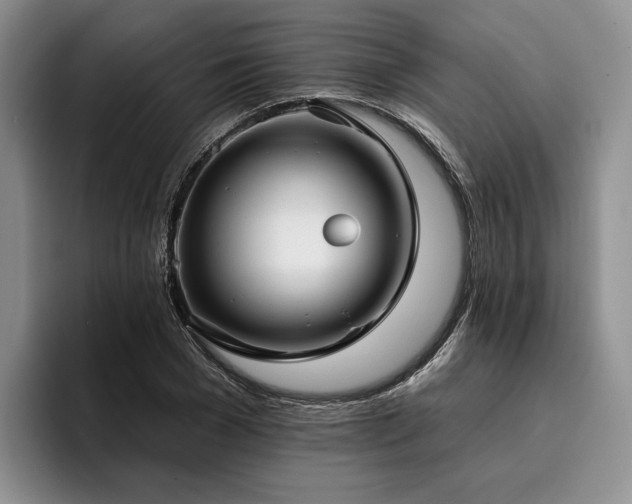 X0000096130977200801181109