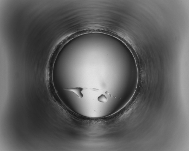 X0000096130979200801181109