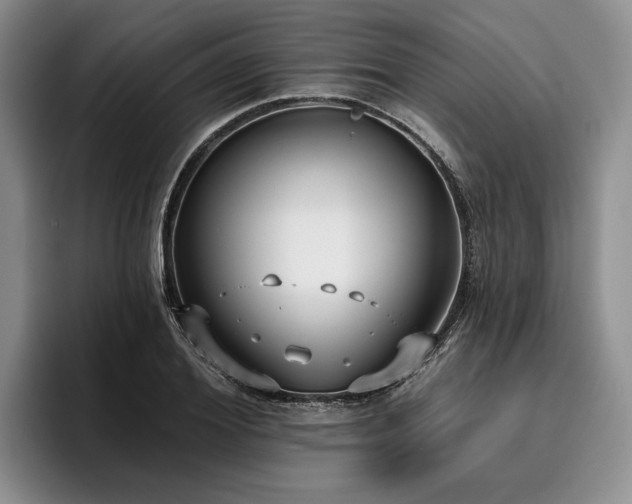 X0000096130980200801181109
