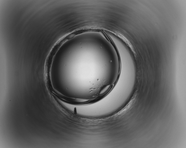 X0000096130981200801181109